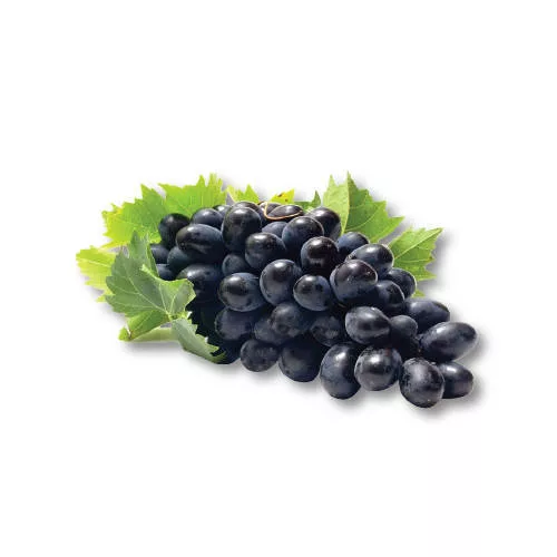 Черно грозде