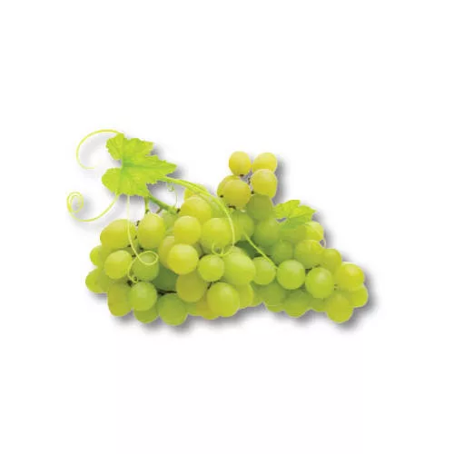 Стафидно грозде