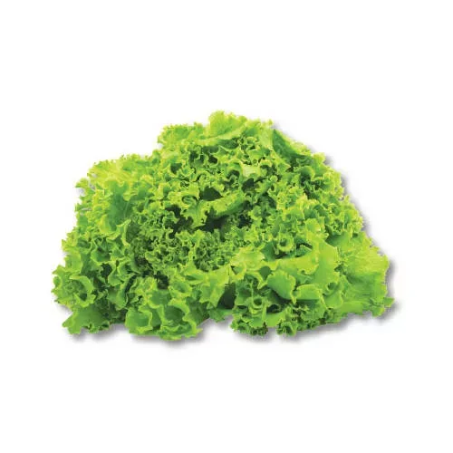 Свежа салата